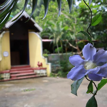 Phoenix Castle House Palolem Canacona Bagian luar foto