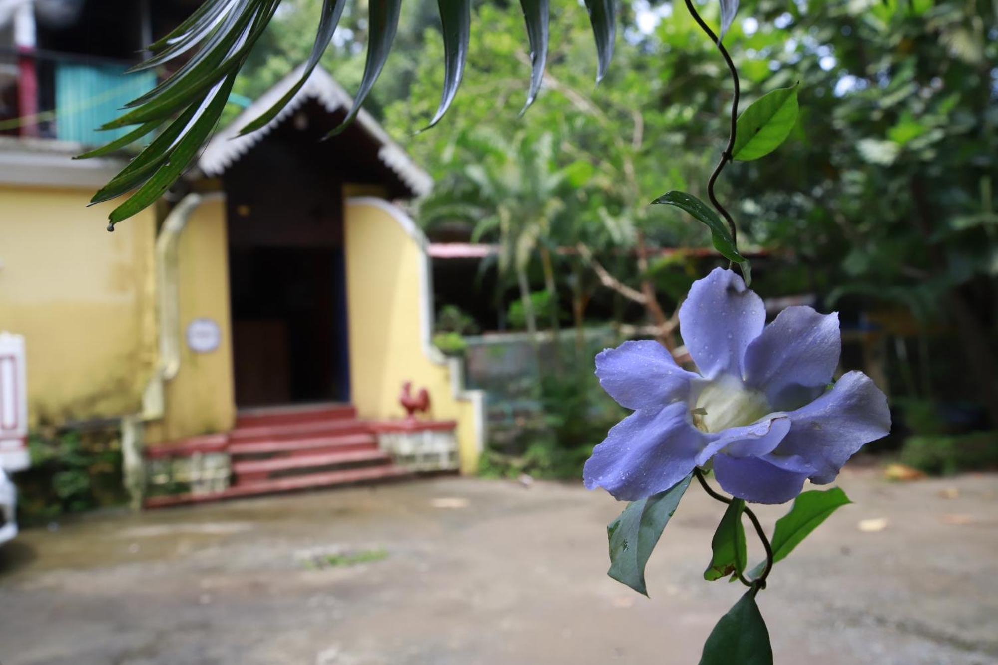 Phoenix Castle House Palolem Canacona Bagian luar foto